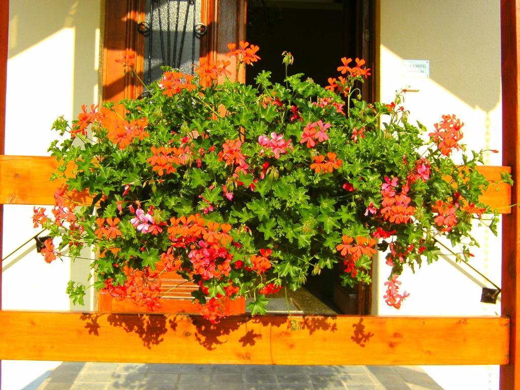 B&B Le Petit Normand Jalhay Exterior foto